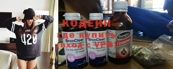 шишки Алексин
