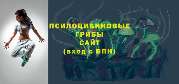 шишки Алексин