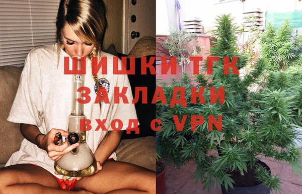 шишки Алексин