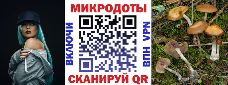 Псилоцибиновые грибы MAGIC MUSHROOMS Долинск